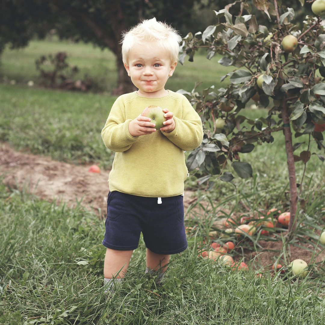 Kid holding an apple
