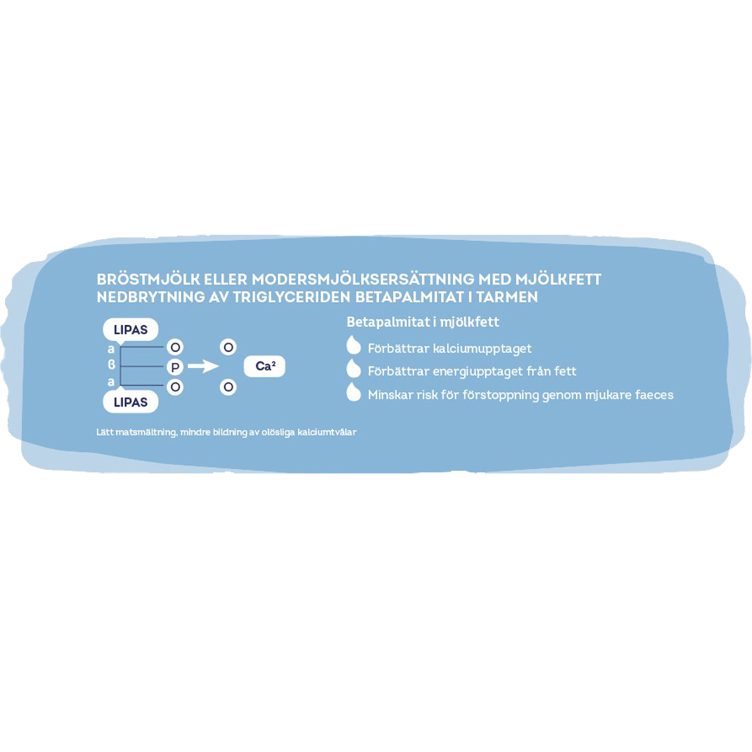 Banner breakdown in the belly